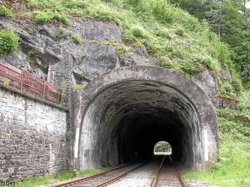 Bahn 104.jpg - Der 198 m lange Tunnel Oberstaufen ist der einzige der Allgäubahn.
